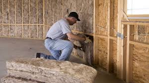 Best Wall Insulation Installation  in Lavalette, WV