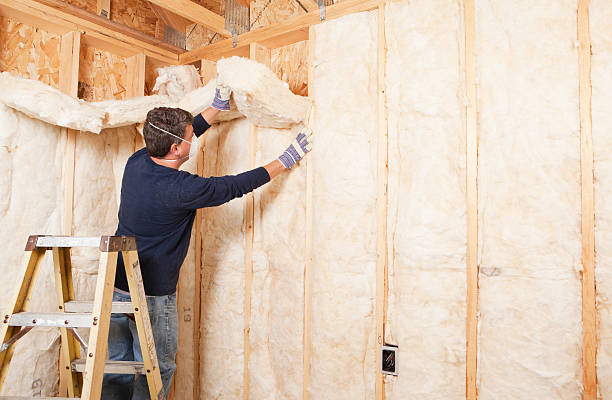 Best Soundproof Insulation  in Lavalette, WV